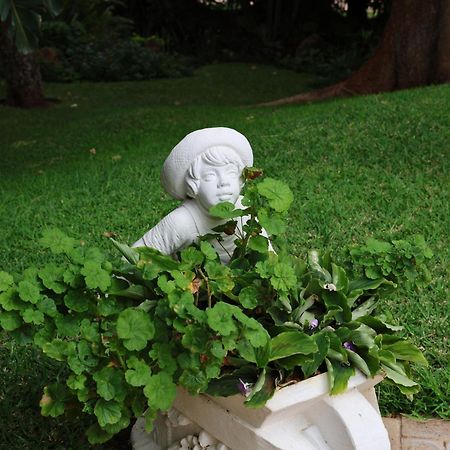 The Victorian Manor Bed and Breakfast Victoria Falls Exteriör bild
