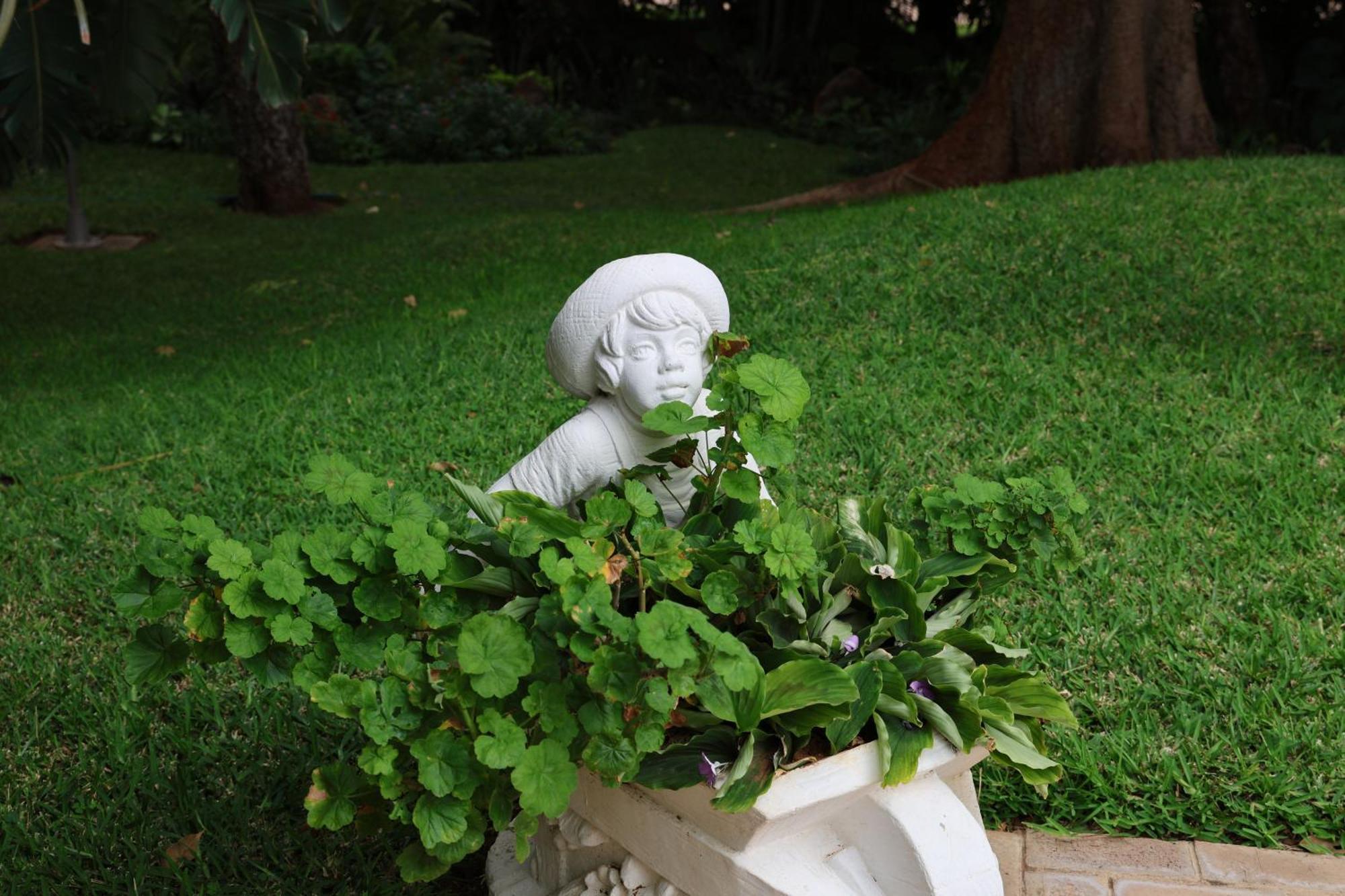 The Victorian Manor Bed and Breakfast Victoria Falls Exteriör bild